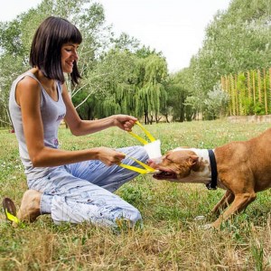 Жгут из пожарного шланга с двумя ручками для питбуля «Best incentive»
